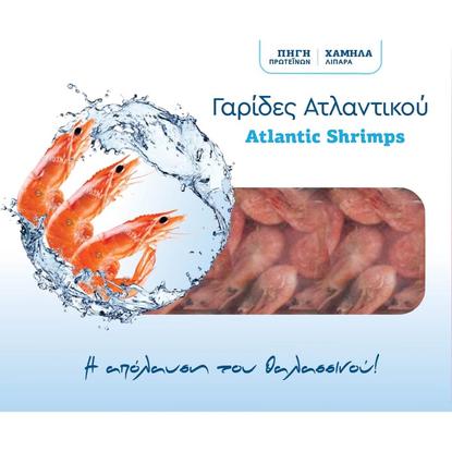 Εικόνα της ΓΑΡΙΔΕΣ ΑΤΛΑΝΤΙΚΟΥ ΟΛΟΚΛΗΡΕΣ ΚΤΨ 425G