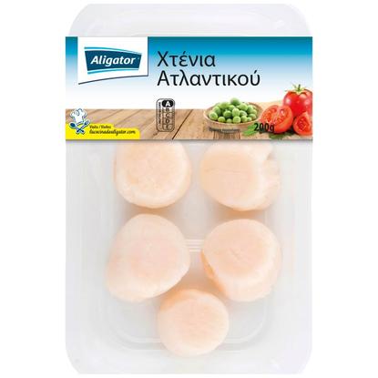 Εικόνα της ΧΤΕΝΙΑ ΑΤΛΑΝΤΙΚΟΥ ΚΑΤΕΨΥΓΜΕΝΑ 200G